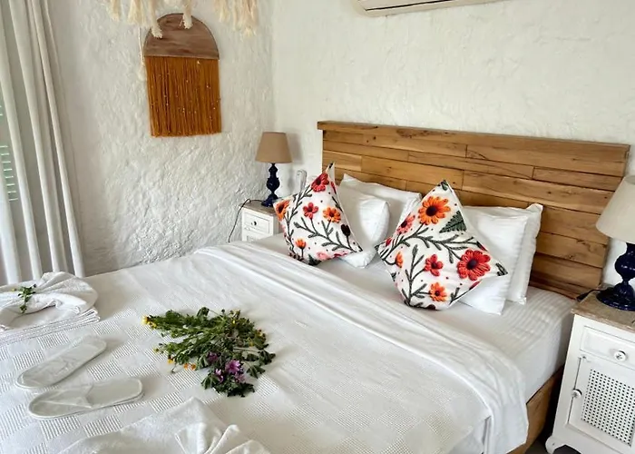 ホテル Boreas アラカティ